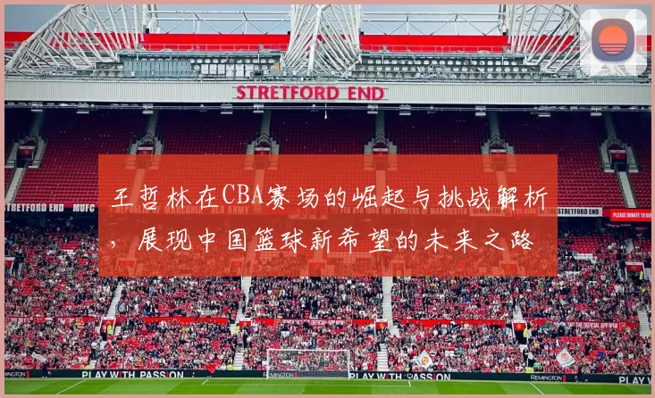 王哲林在CBA赛场的崛起与挑战解析，展现中国篮球新希望的未来之路