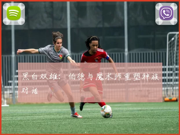 黑白双雄：伯德与魔术师重塑种族对话