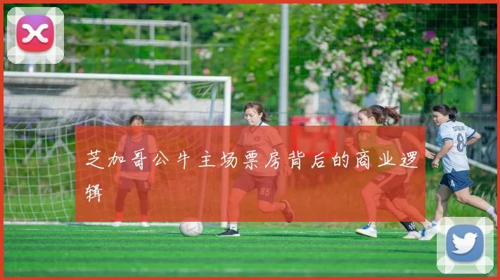 芝加哥公牛主场票房背后的商业逻辑