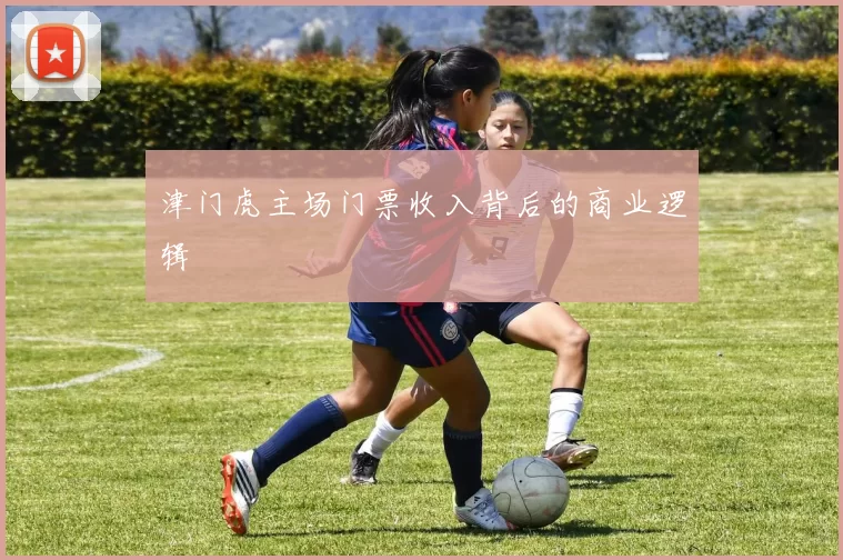 津门虎主场门票收入背后的商业逻辑