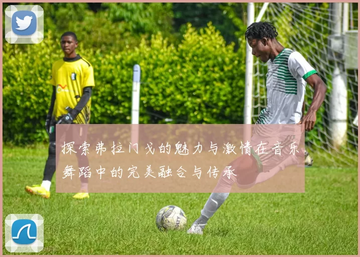 探索弗拉门戈的魅力与激情在音乐舞蹈中的完美融合与传承