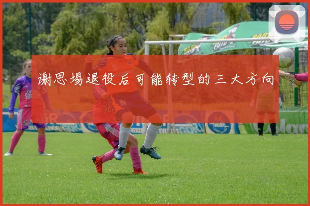 谢思埸退役后可能转型的三大方向