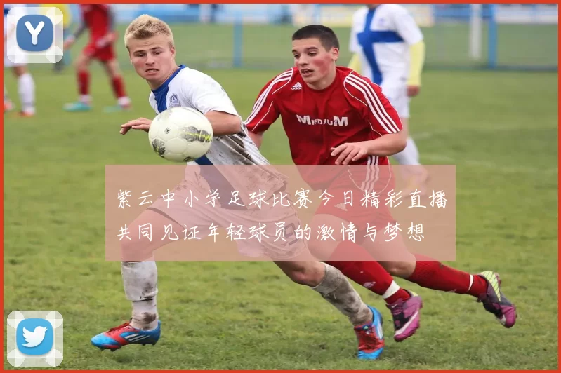 紫云中小学足球比赛今日精彩直播共同见证年轻球员的激情与梦想