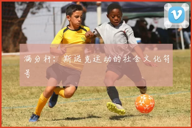 满分杆：斯诺克运动的社会文化符号