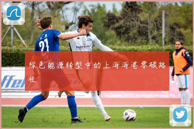 绿色能源转型中的上海海港零碳路径