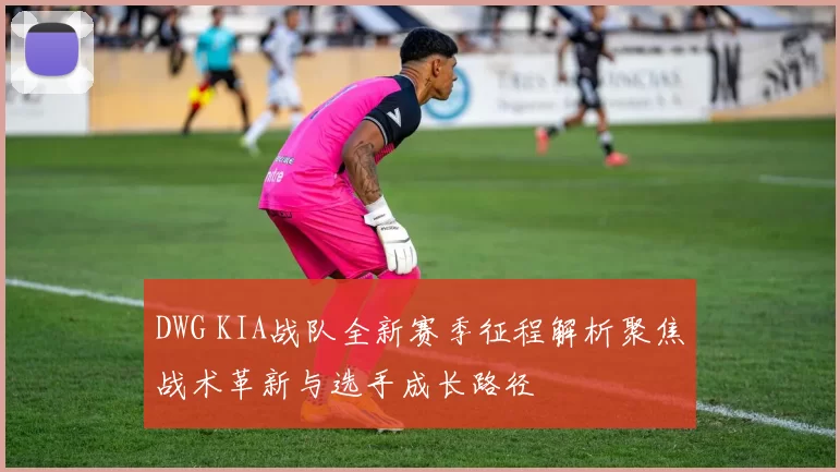 DWG KIA战队全新赛季征程解析聚焦战术革新与选手成长路径